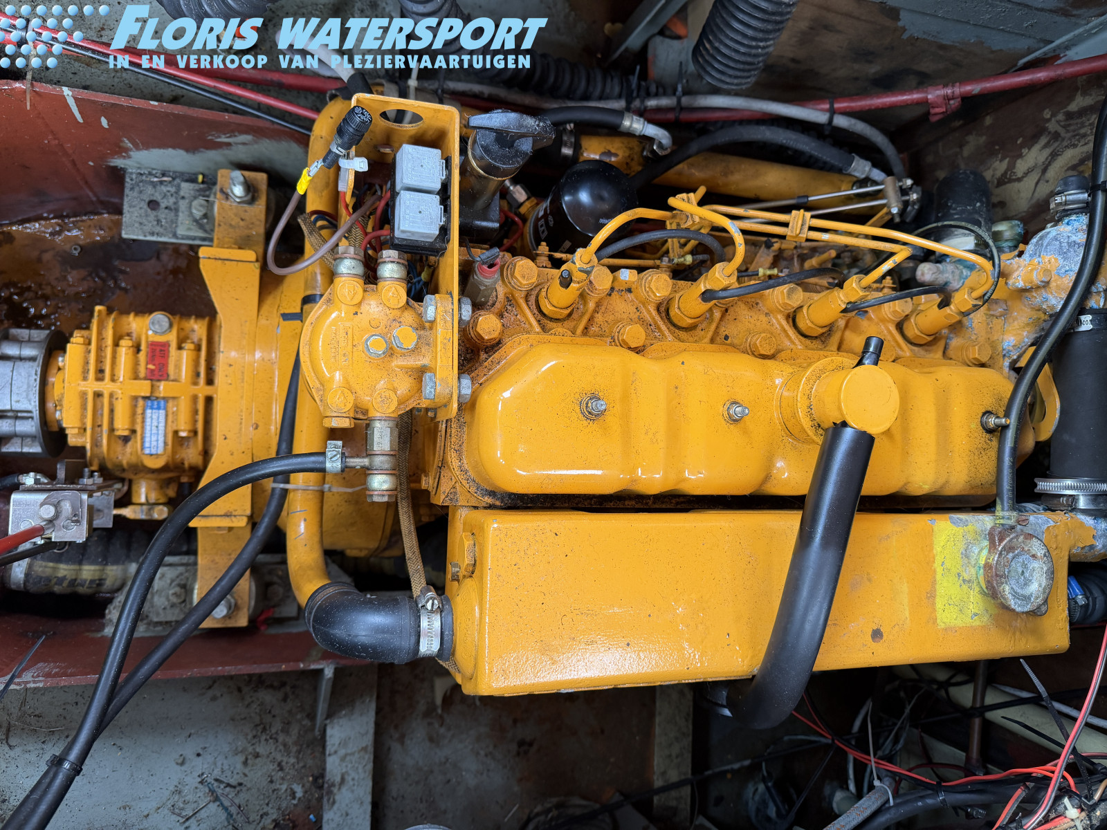 foto: 9 Van Leeuwenschouw 900