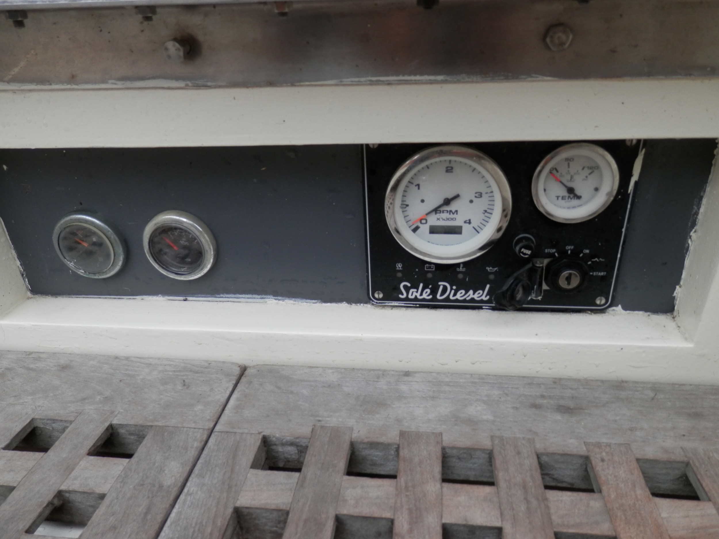 foto: 35 Danish Rose 31