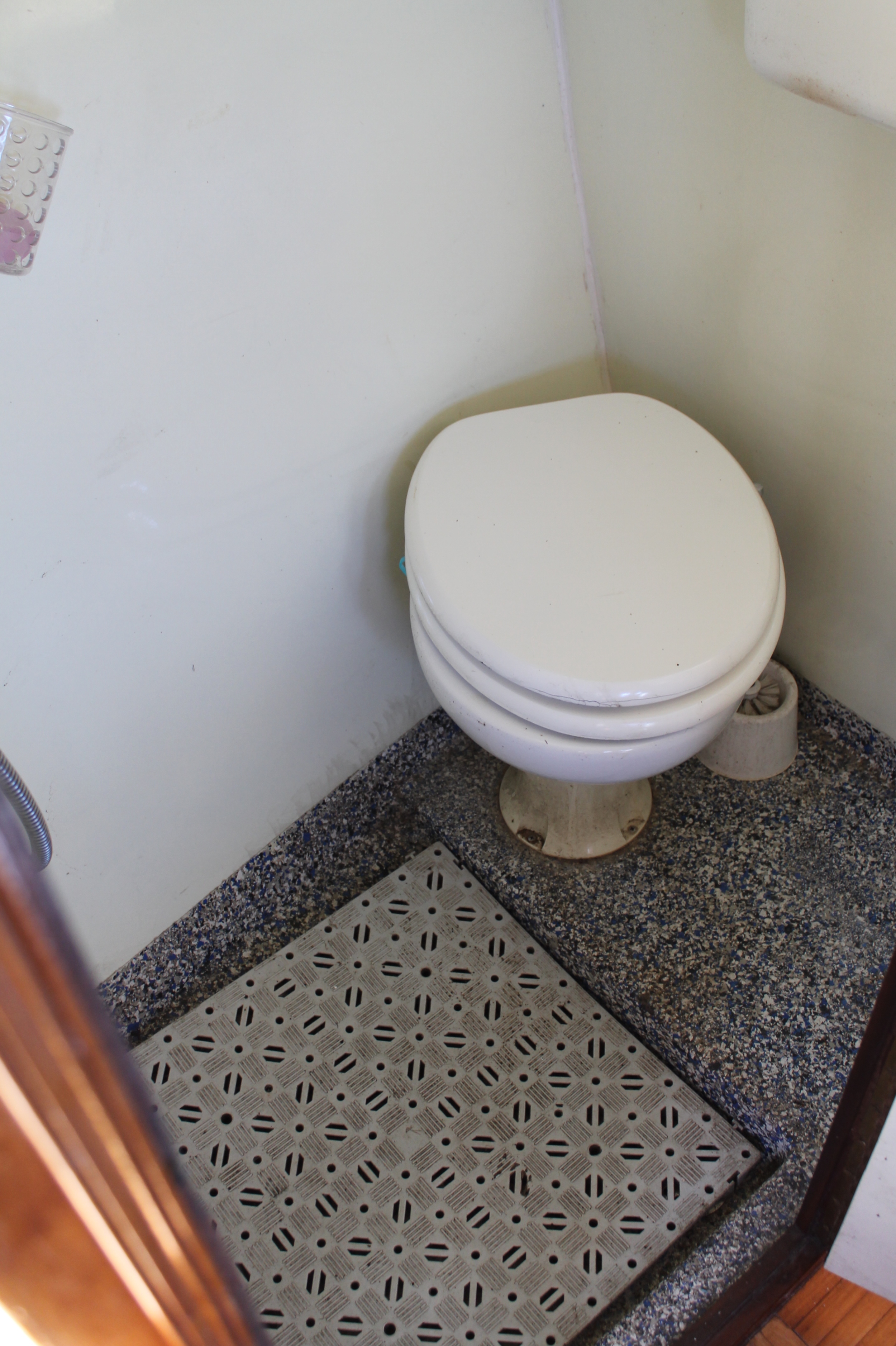 foto: 39 Peereboom Kruiser GSAK