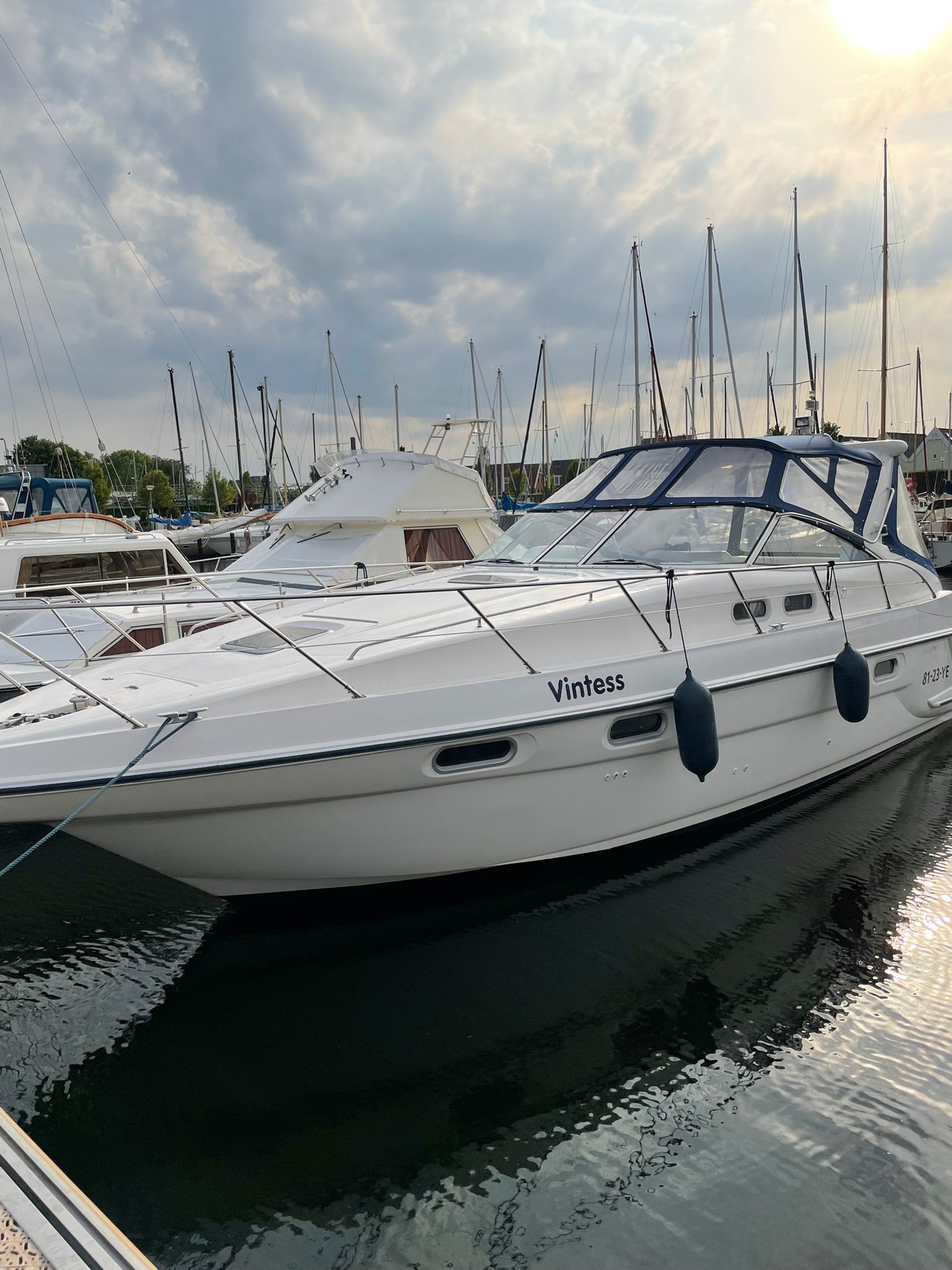 foto: 17 Sealine S37