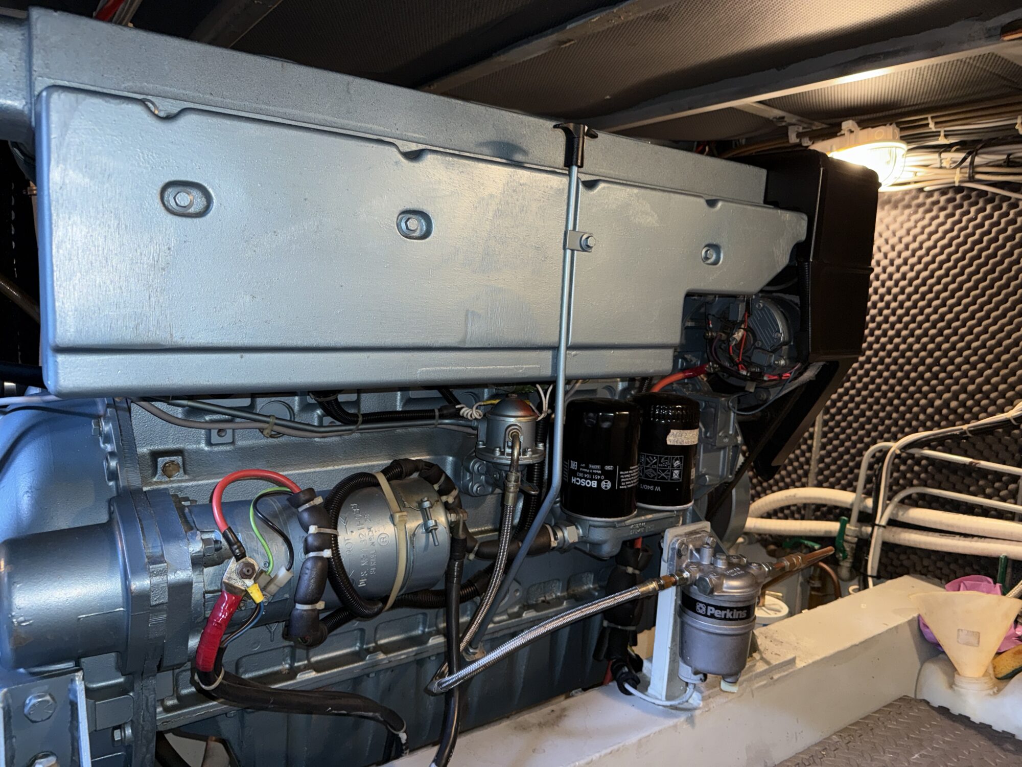 foto: 45 Alm Alm Kotter 12.20 OK
