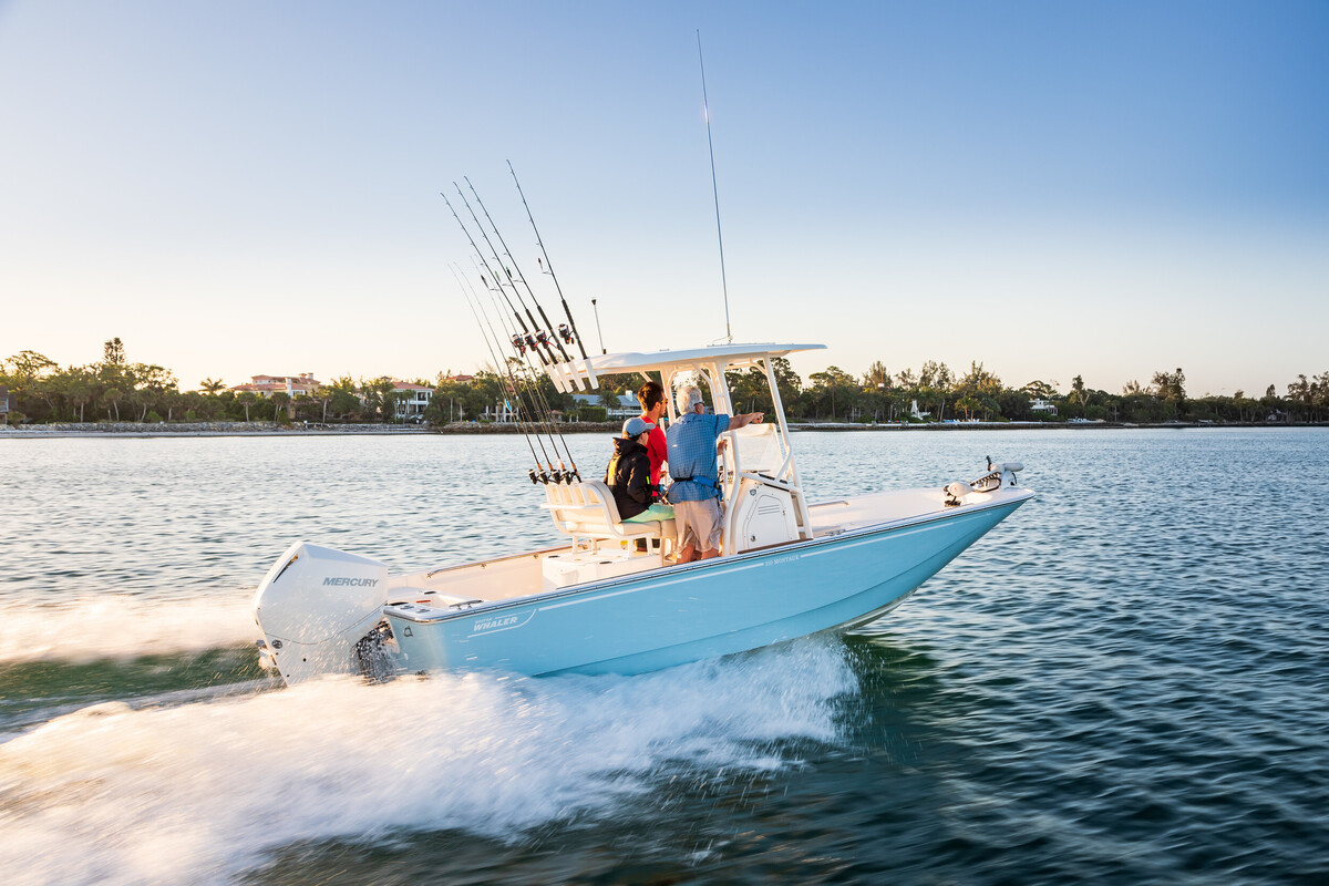 foto: 18 Boston Whaler 210 Montauk