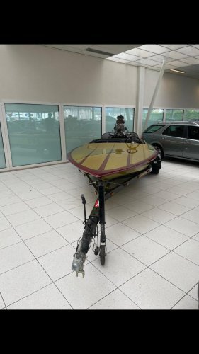 foto: 8 Sanger Panic Mouse