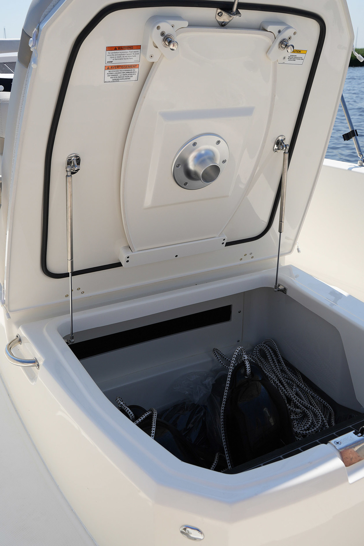 foto: 33 Boston Whaler 250 Dauntless