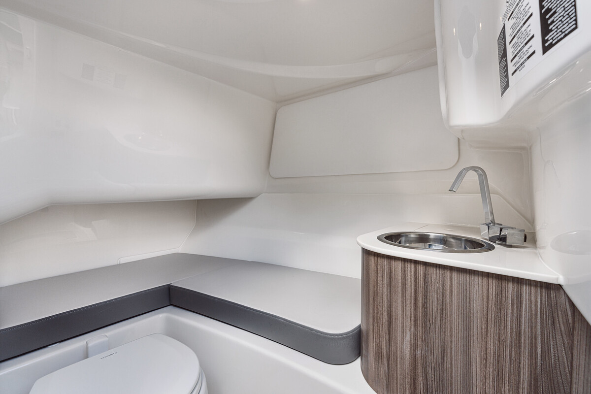 foto: 23 Sea Ray SDX 250  