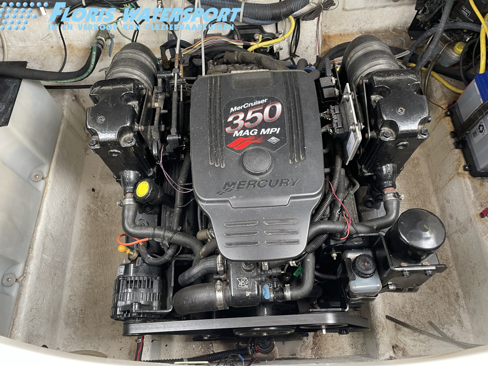 foto: 13 Bayliner  265