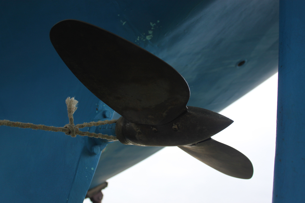 foto: 53 Robert Clark 45