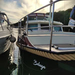 foto: 29 Linssen 380 AC