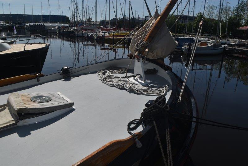 foto: 53 Blom Lemsteraak 10.10