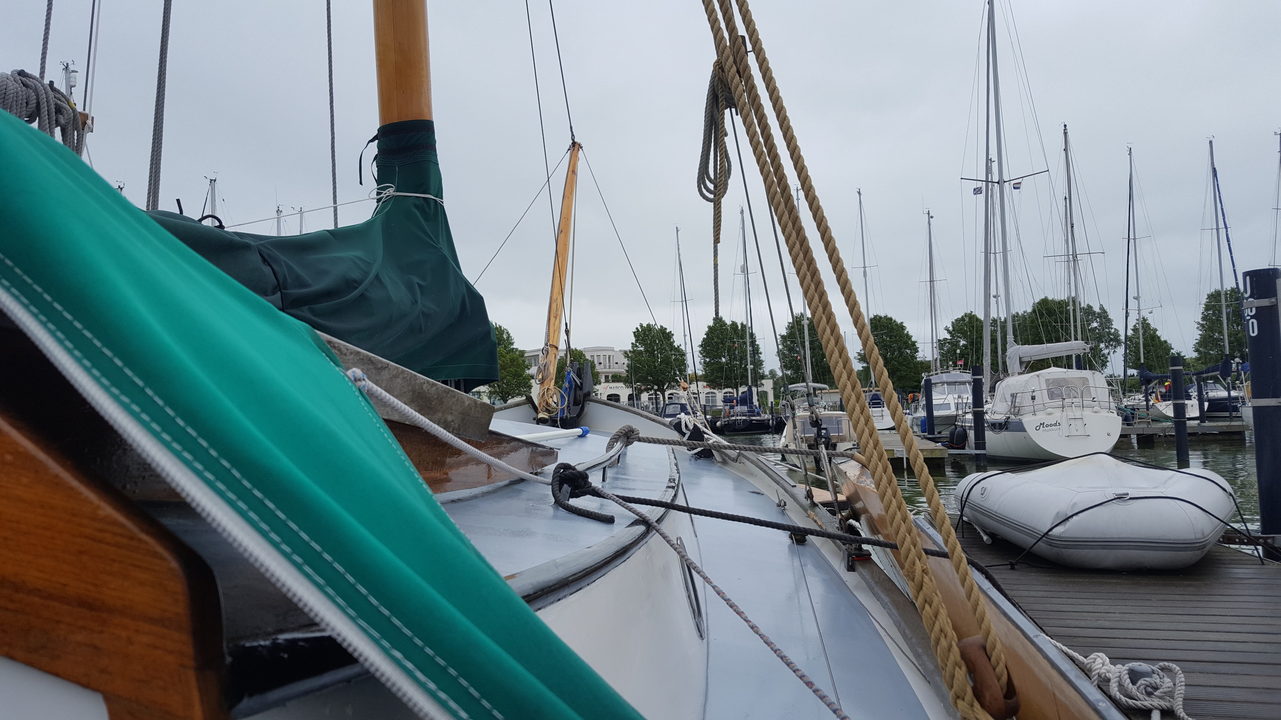 foto: 39 Vredenburgh Schokker 984