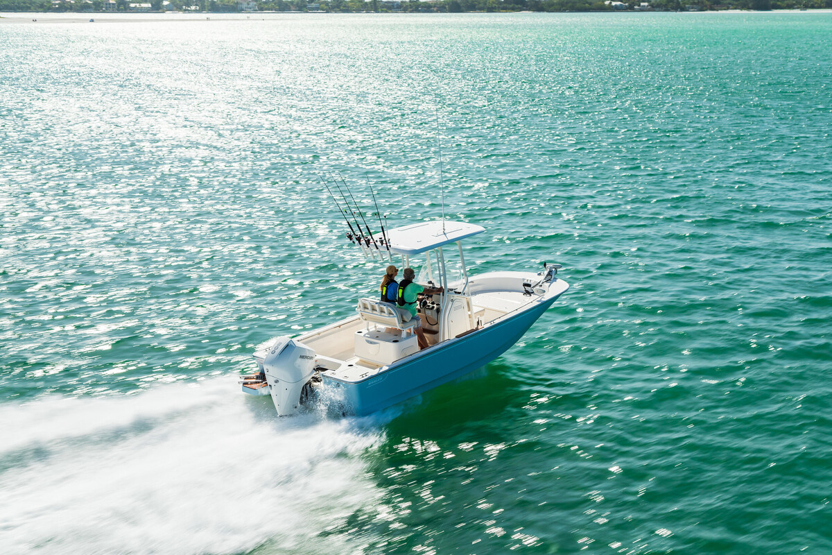 foto: 19 Boston Whaler 210 Montauk