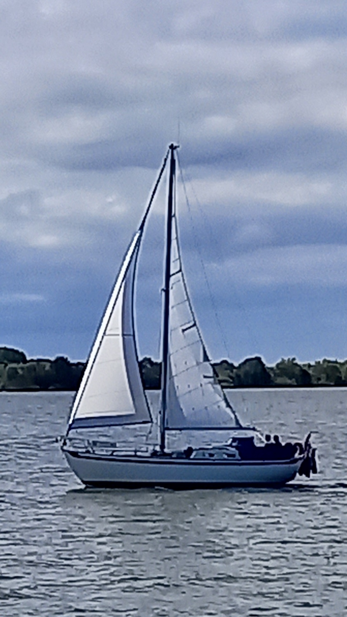 foto: 80 Tradewind 33