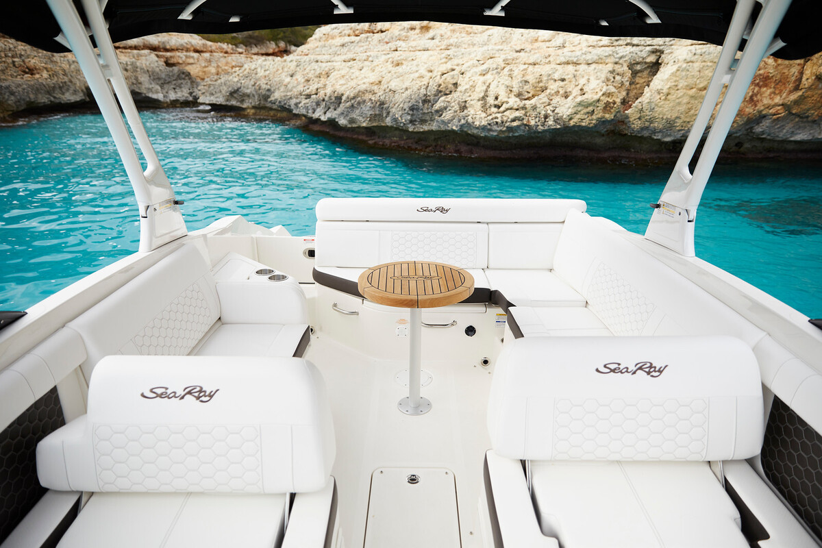foto: 10 Sea Ray SDX 270