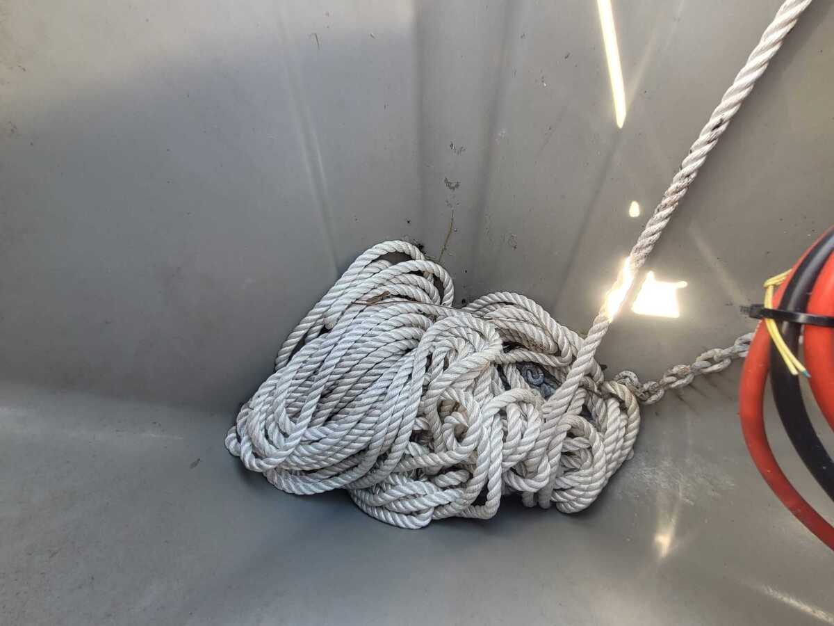 foto: 30 Sargo 36