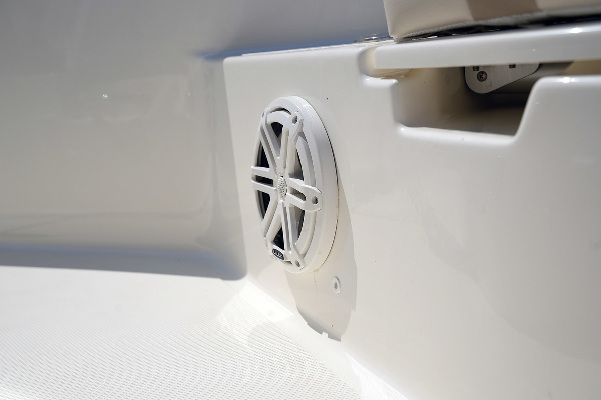 foto: 31 Boston Whaler 250 Dauntless