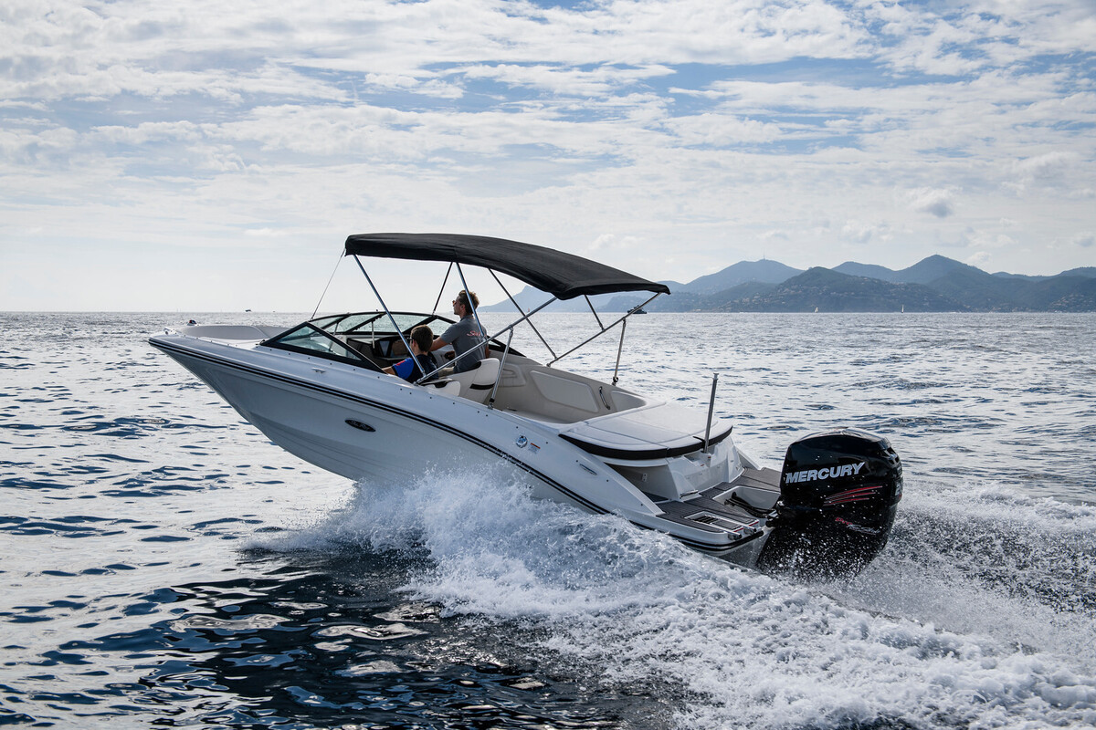 foto: 13 Sea Ray SPX 210 Outboard