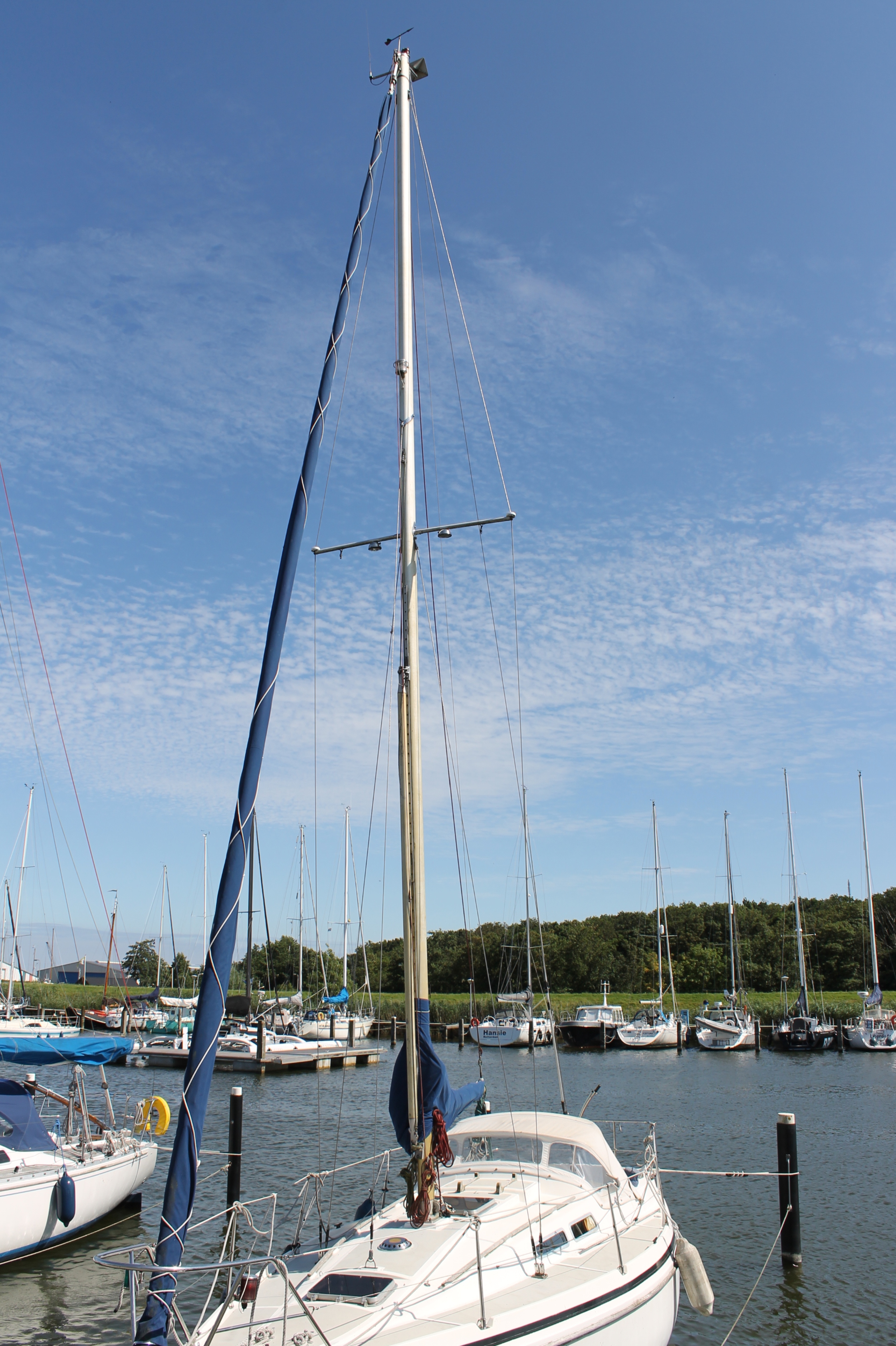 foto: 41 Contest 30 B