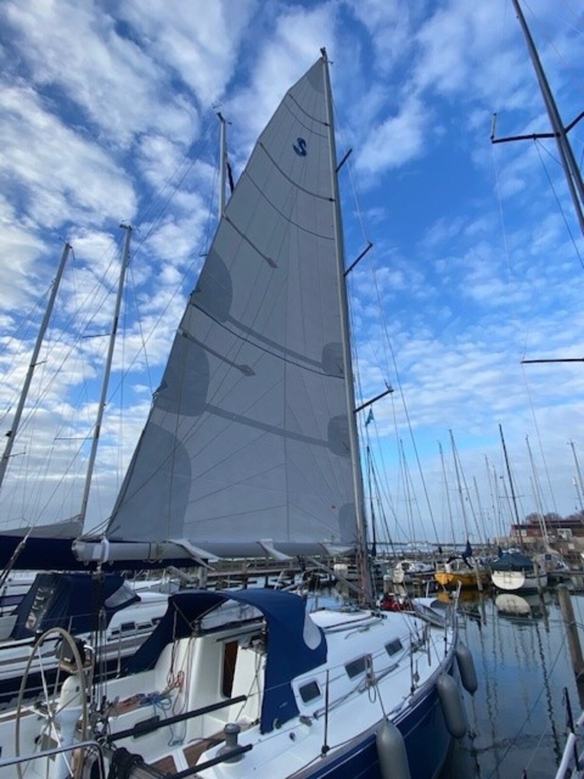 foto: 100 Beneteau  First 36.7 Performance uitvoering