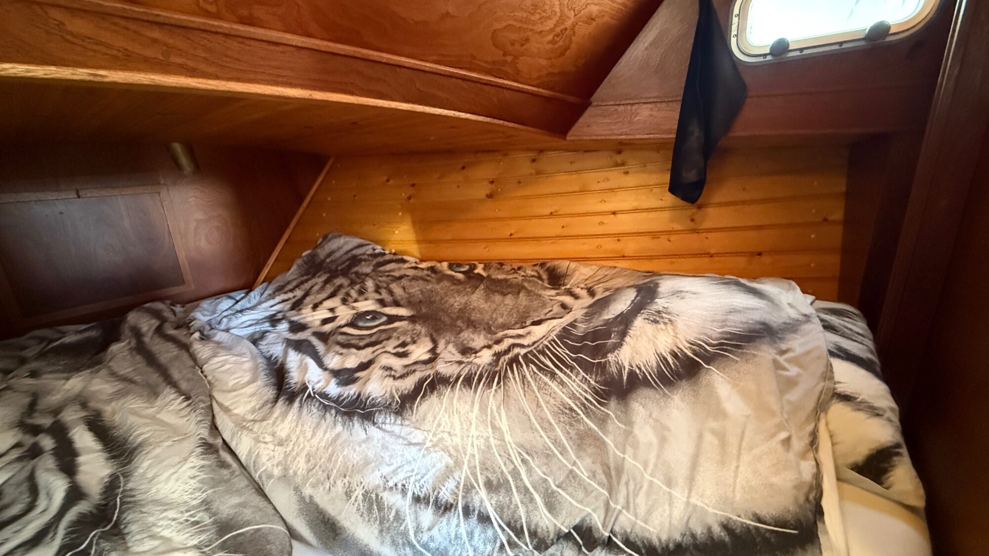 foto: 27 Valkkruiser Valkkruiser Content 12.80 AK Cabrio