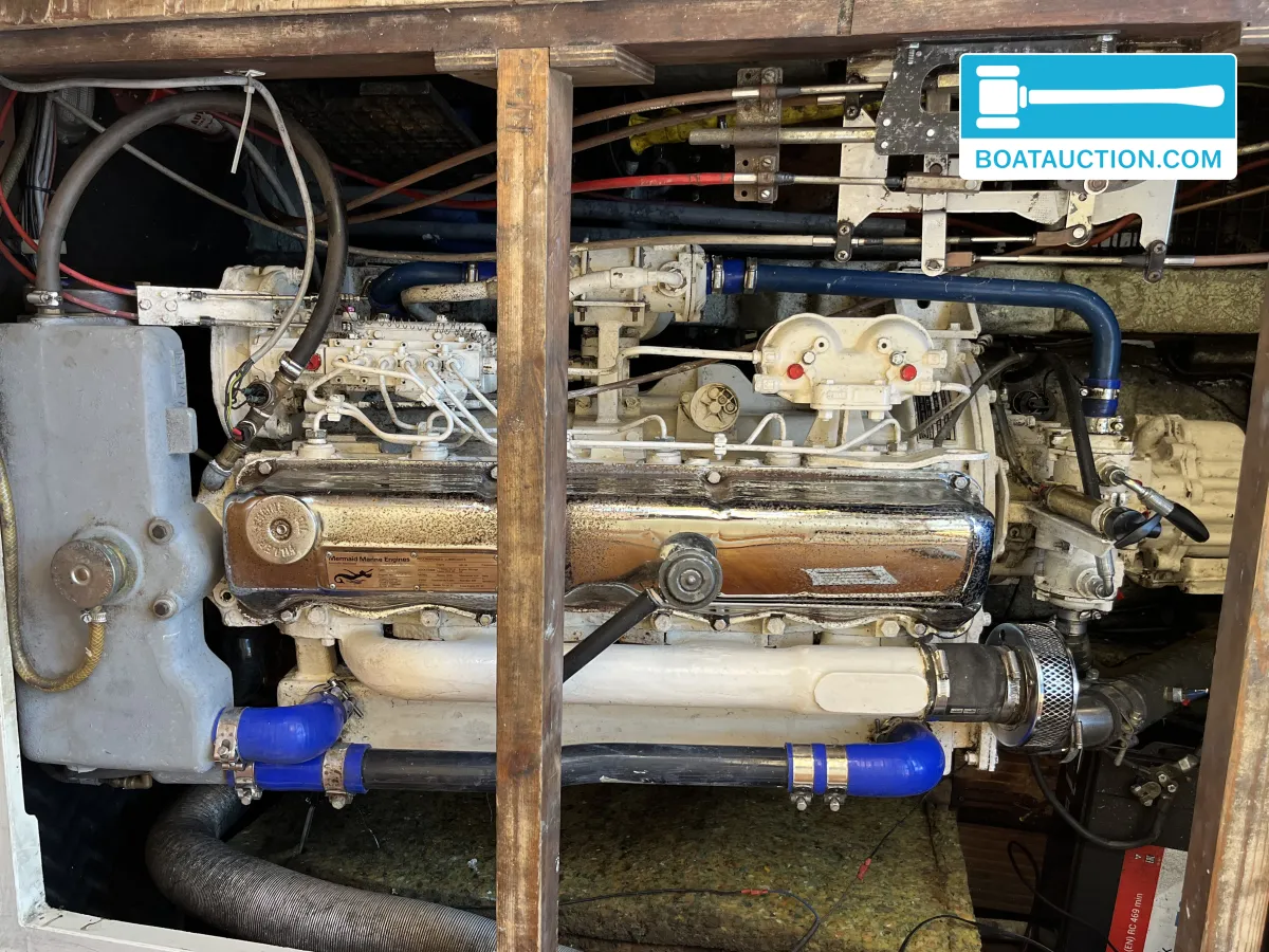 foto: 31 Princess 37