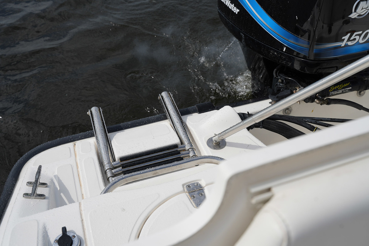 foto: 25 Boston Whaler 180 Dauntless