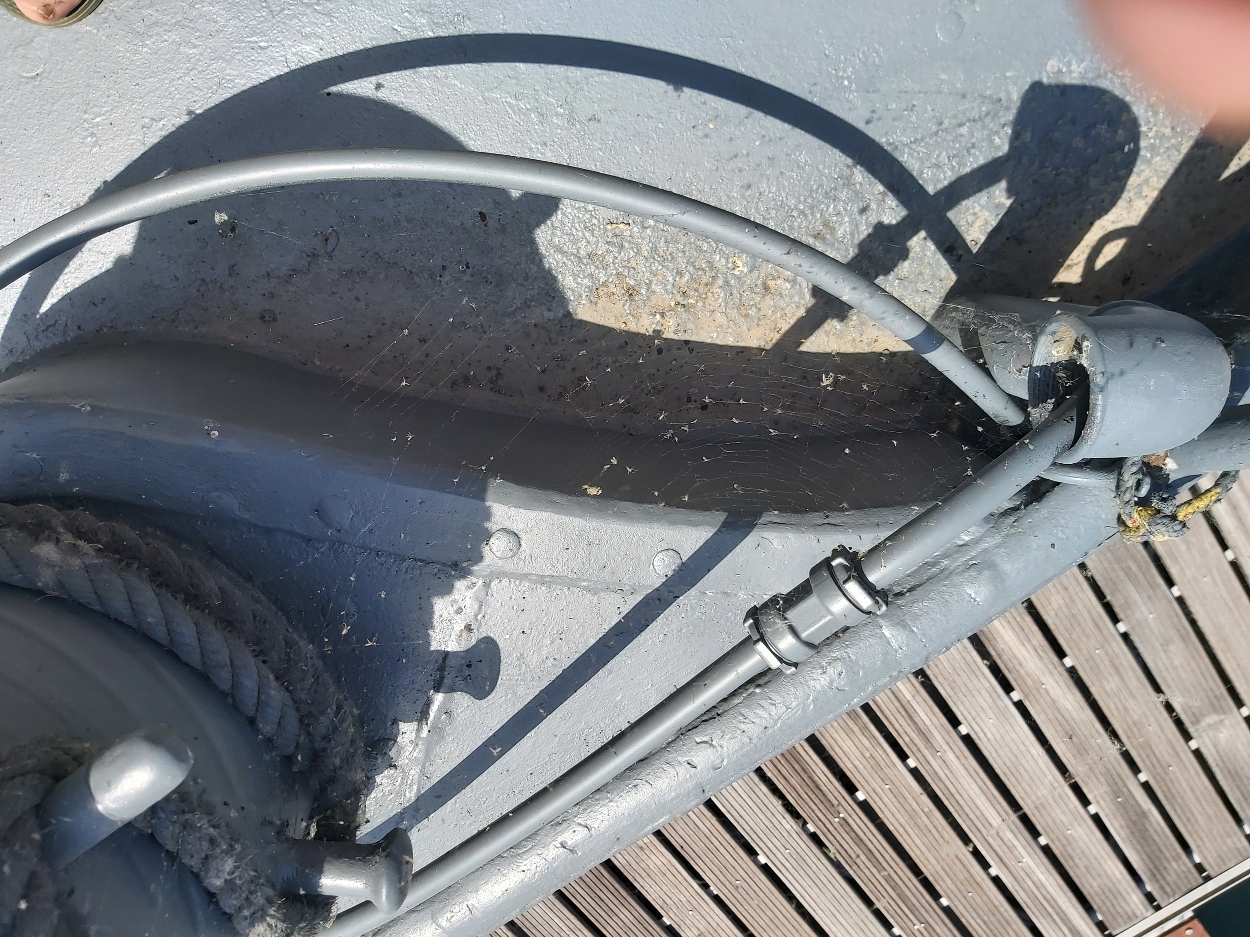 foto: 62 Spits 38.00