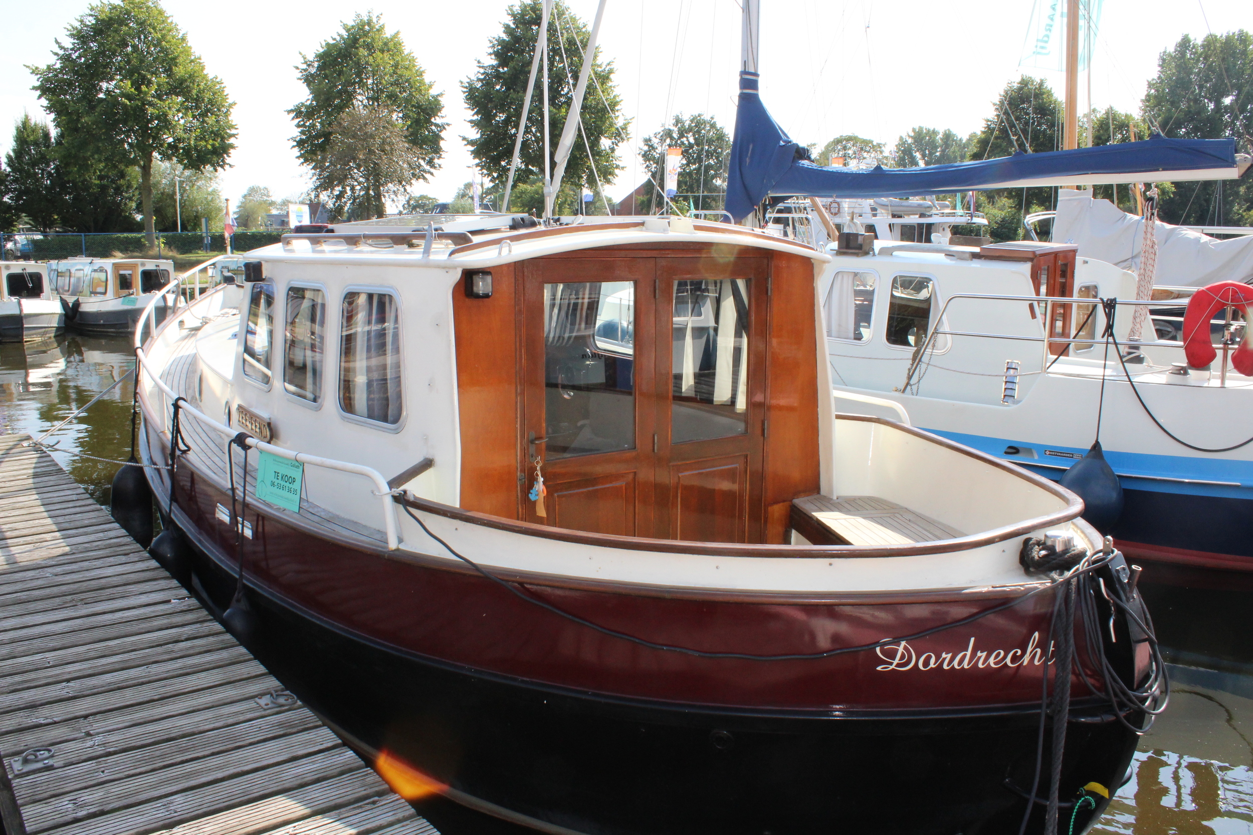 foto: 31 Danish Rose MS 31