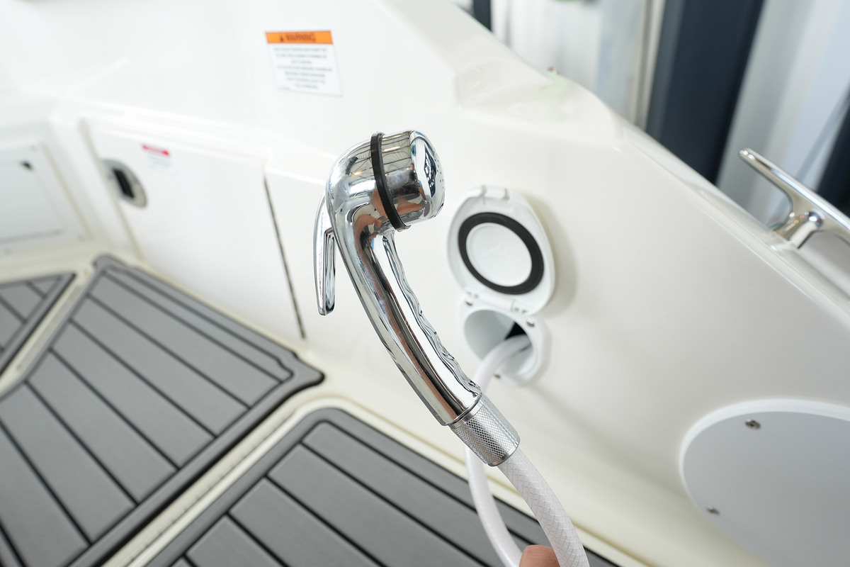 foto: 120 Sea Ray SDX 250