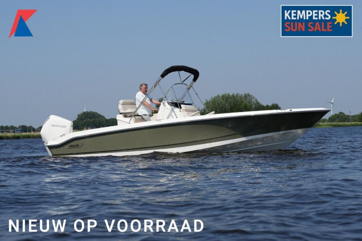 Boston Whaler 250 Dauntless