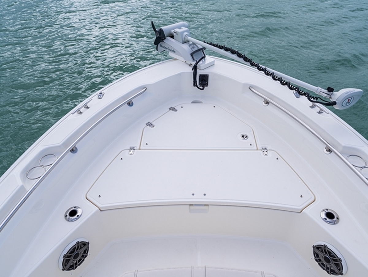 foto: 11 Boston Whaler 220 Dauntless