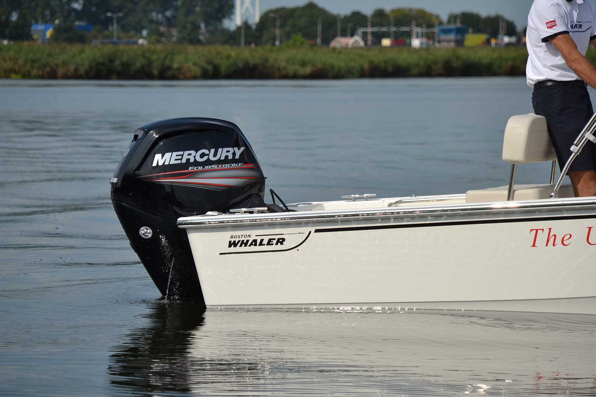 foto: 19 Boston Whaler 170 Montauk