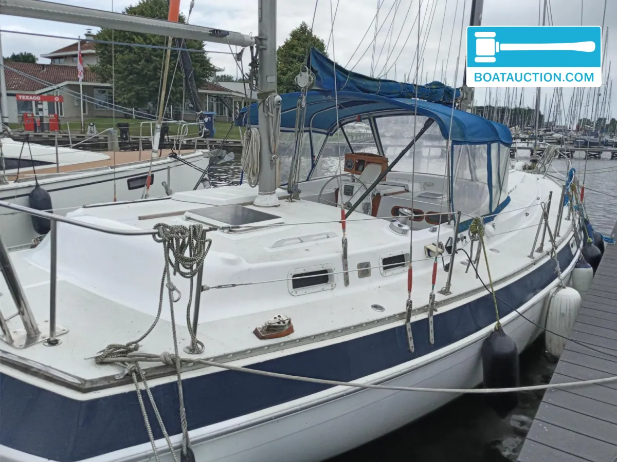 foto: 35 Morgan Out Island 41