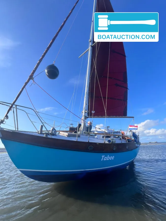 foto: 23 Rossiter Pintail 27