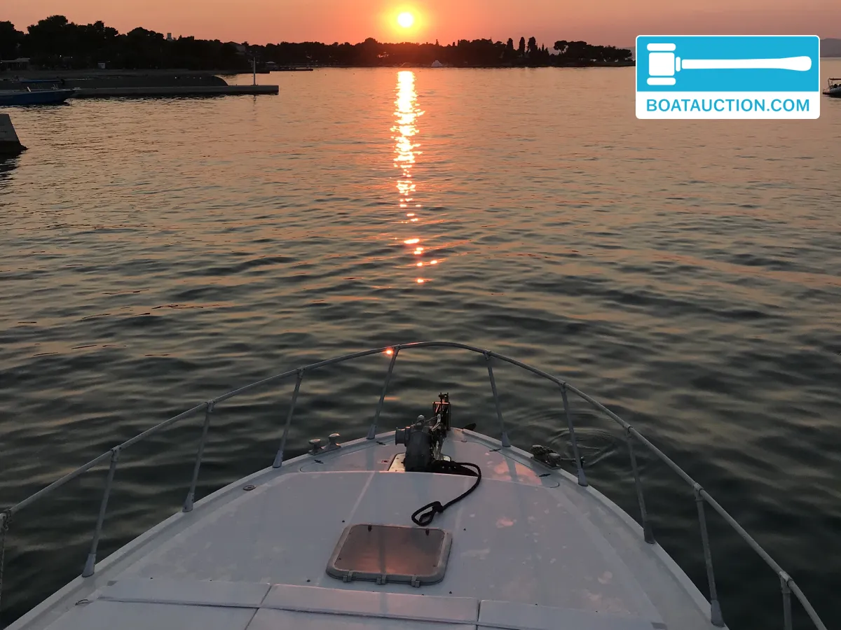 foto: 29 Piantoni 13 Fantasy