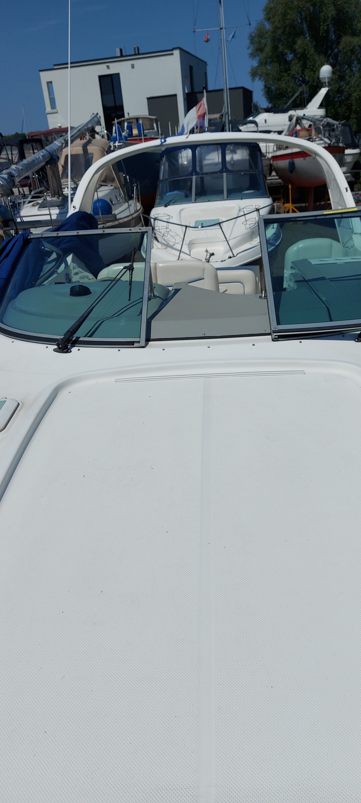 foto: 26 Bayliner 305