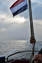 foto: 10 Platbodem Melkschouw