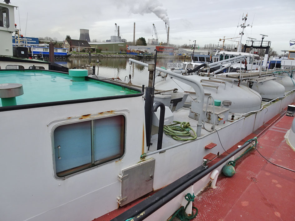 foto: 49 Kempenaar 59.96