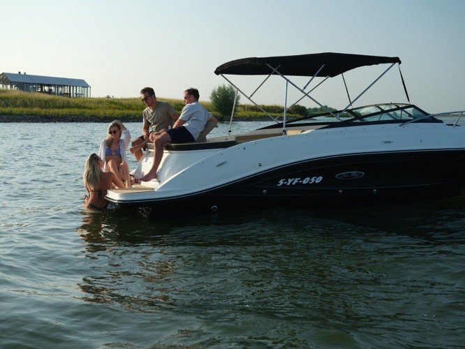 foto: 5 Sea Ray Sun Sport 230