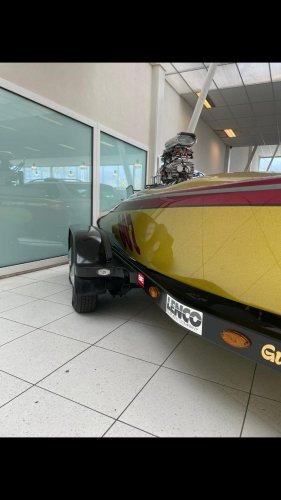 foto: 9 Sanger Panic Mouse