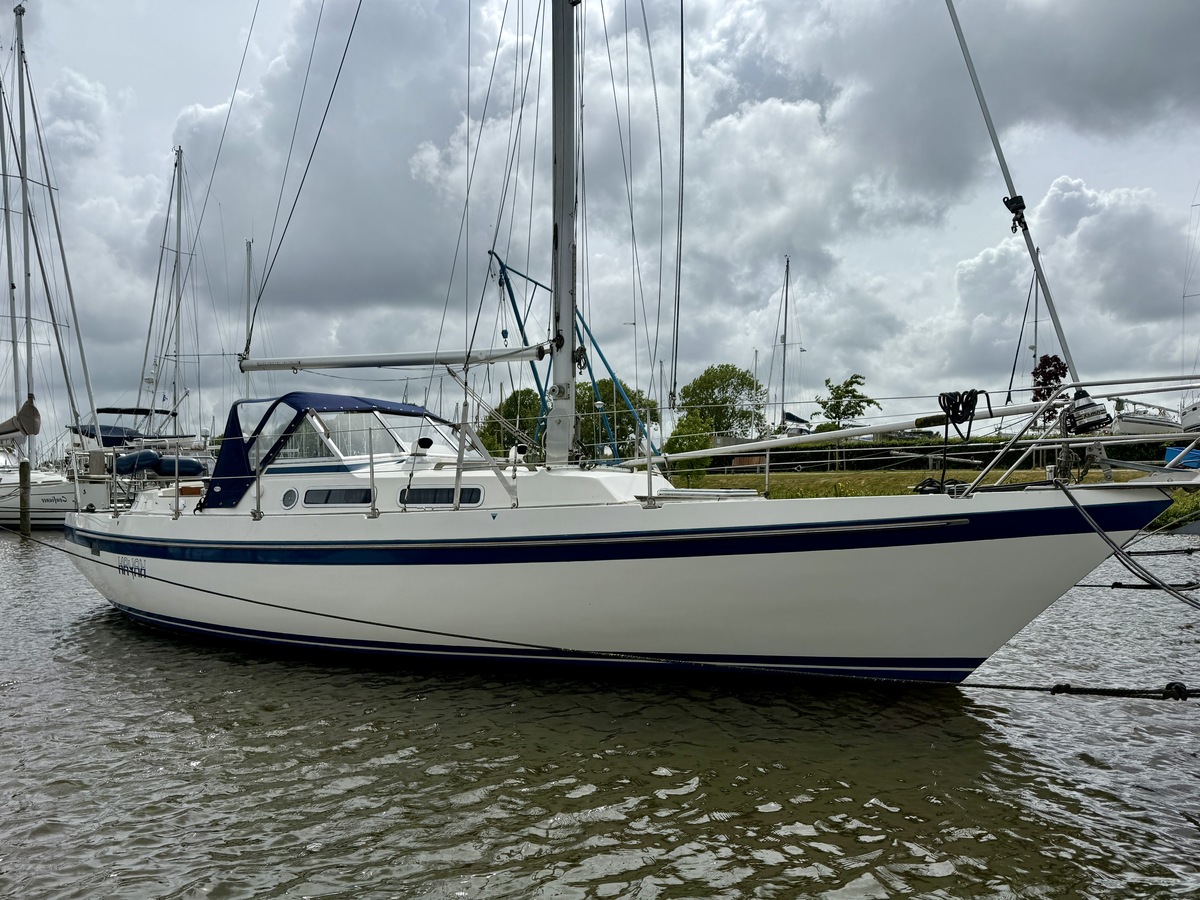 hoofdfoto: 1 Targa 96 AK