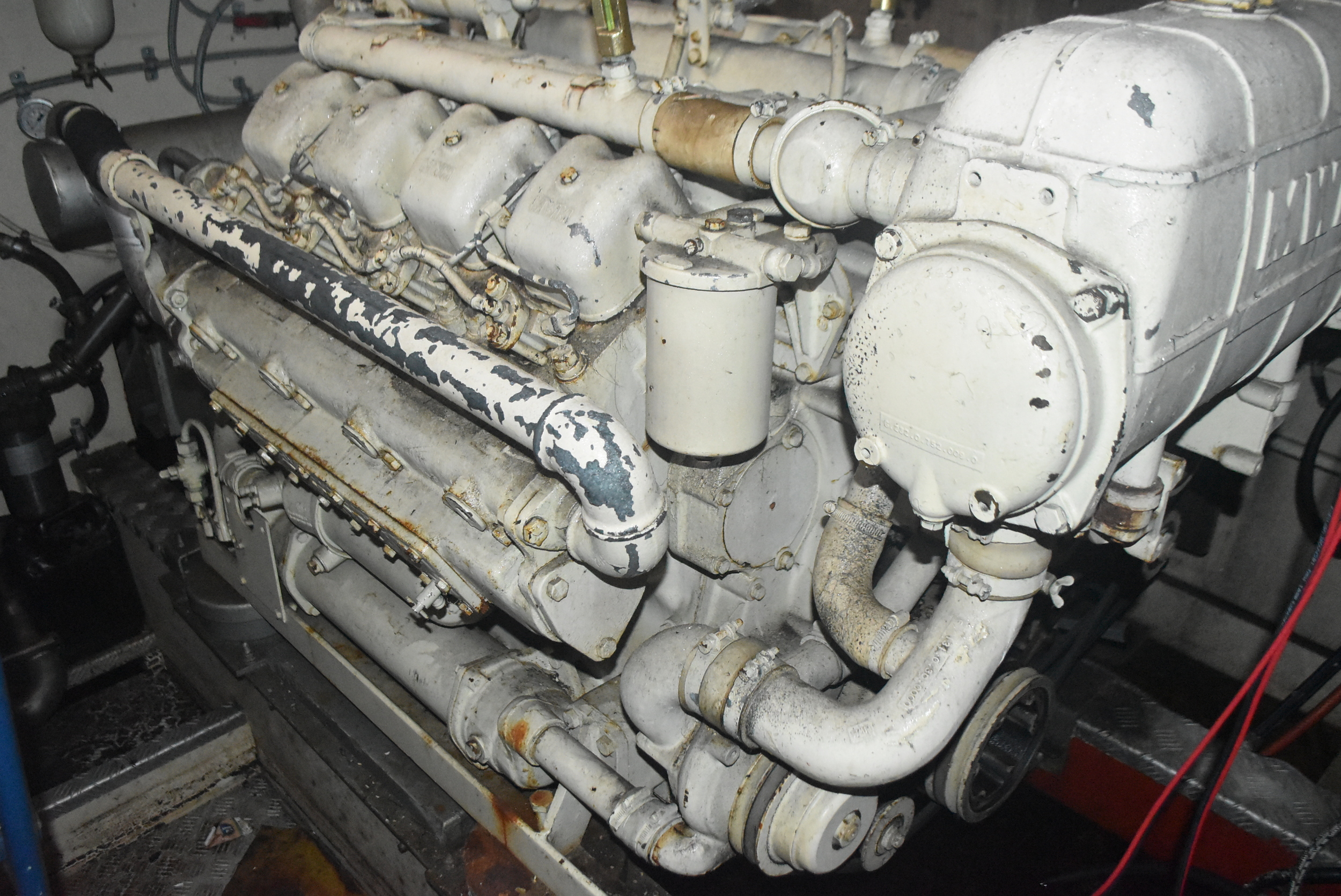 foto: 23 Tummler 15.00