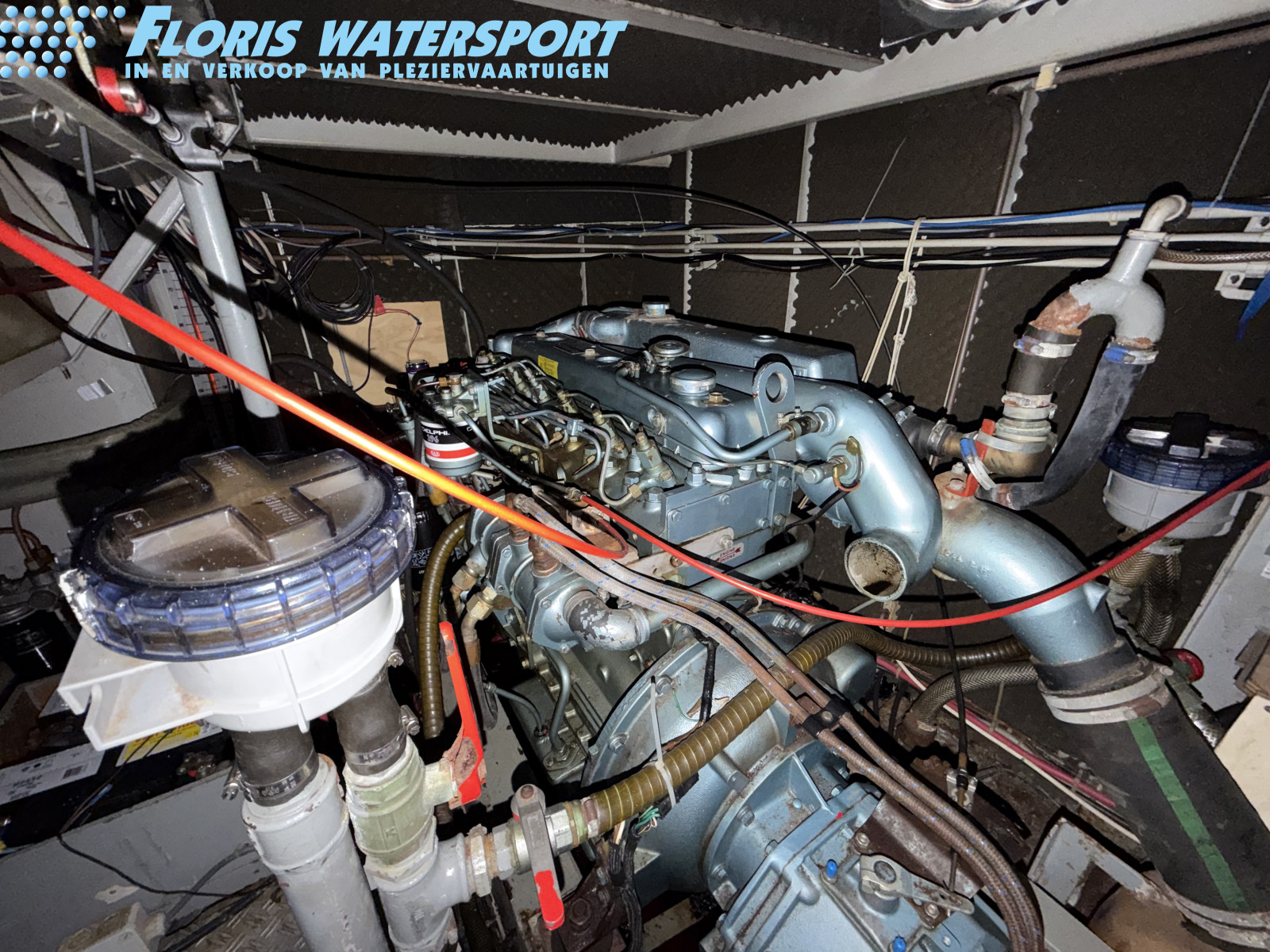 foto: 15 Alm kotter 1280 GSAK