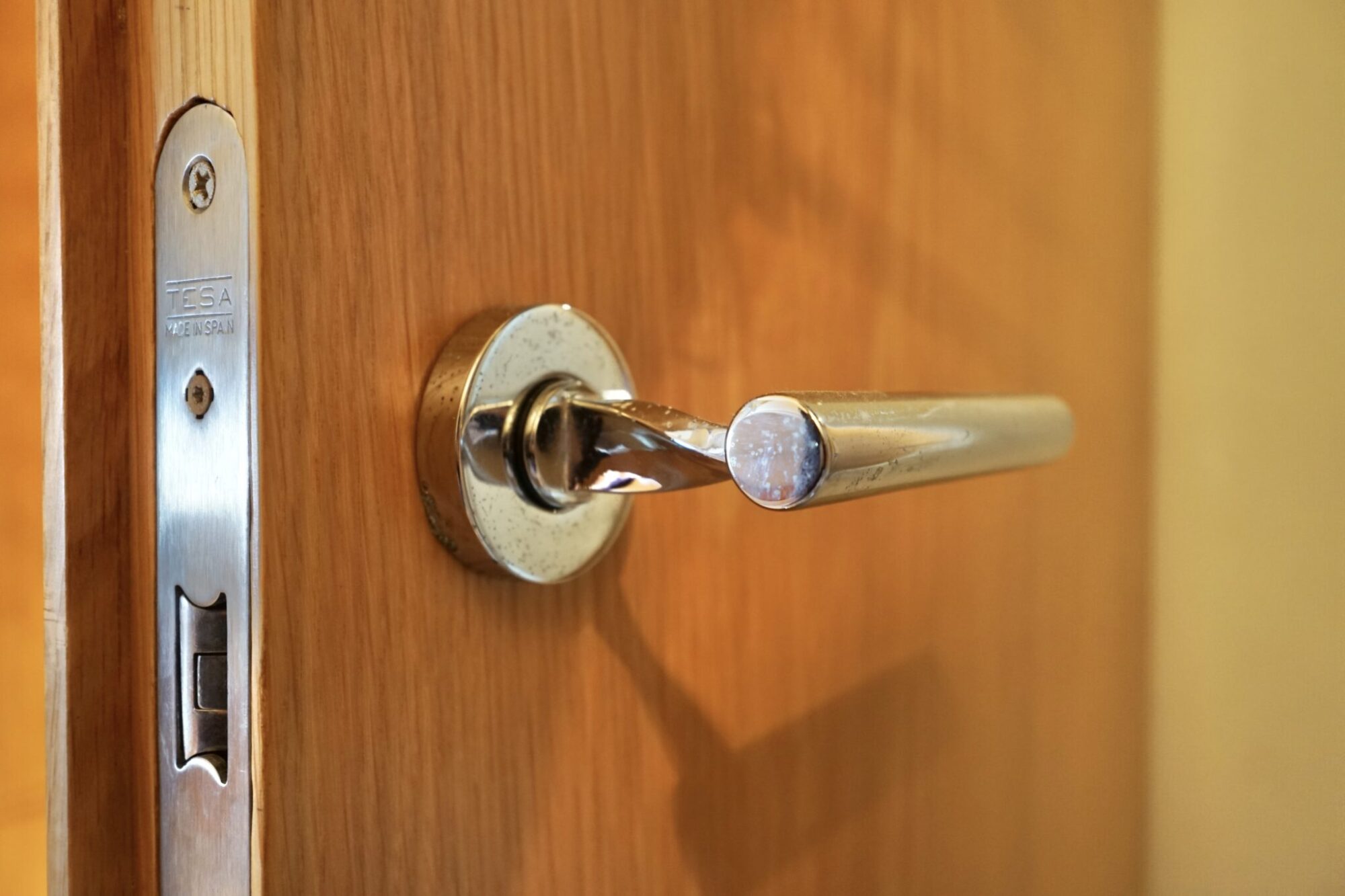 foto: 30 Rodman Rodman 44 Muse IPS