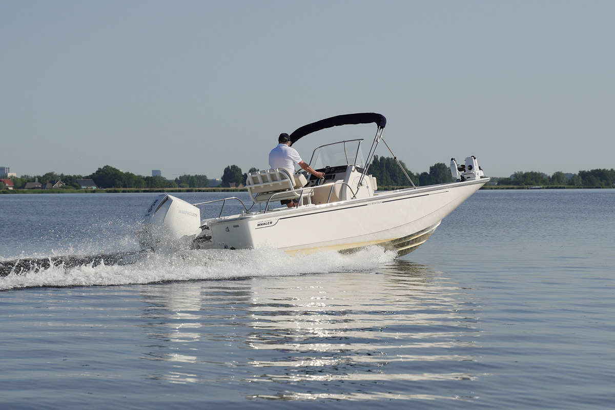 foto: 45 Boston Whaler 210 Montauk
