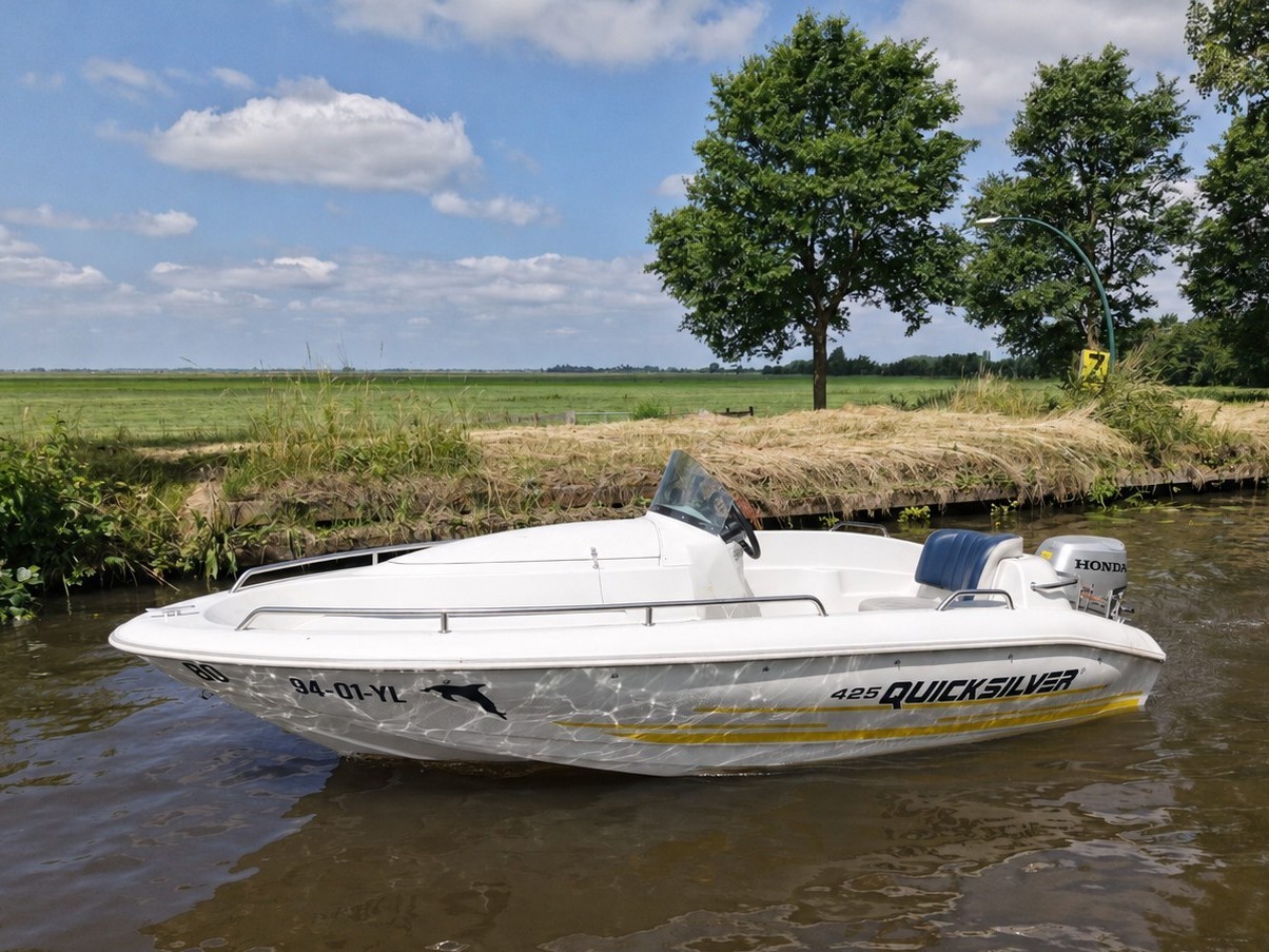 foto: 38 Quicksilver Quicksilver 425 Open