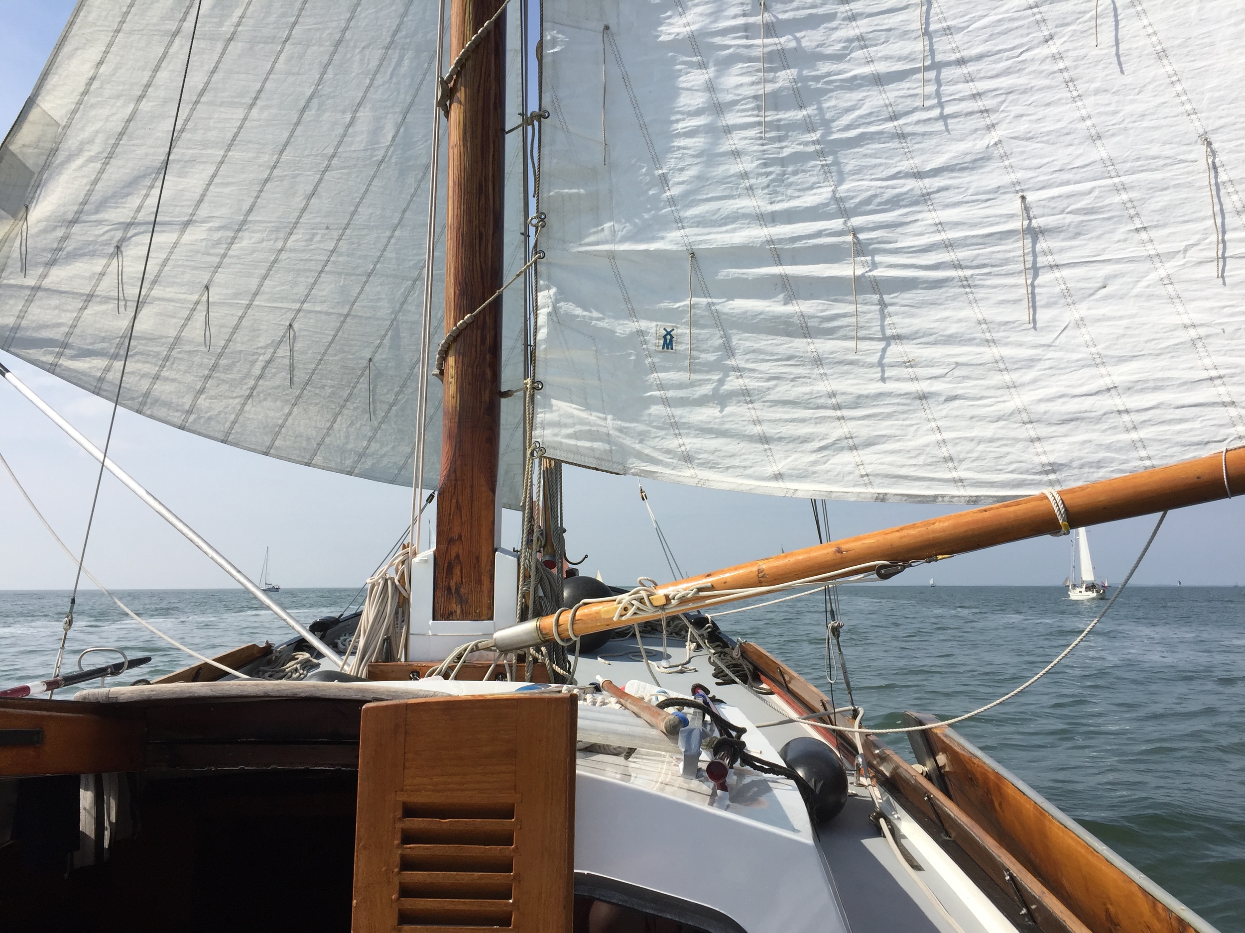 foto: 55 Blom Lemsteraak 10.10