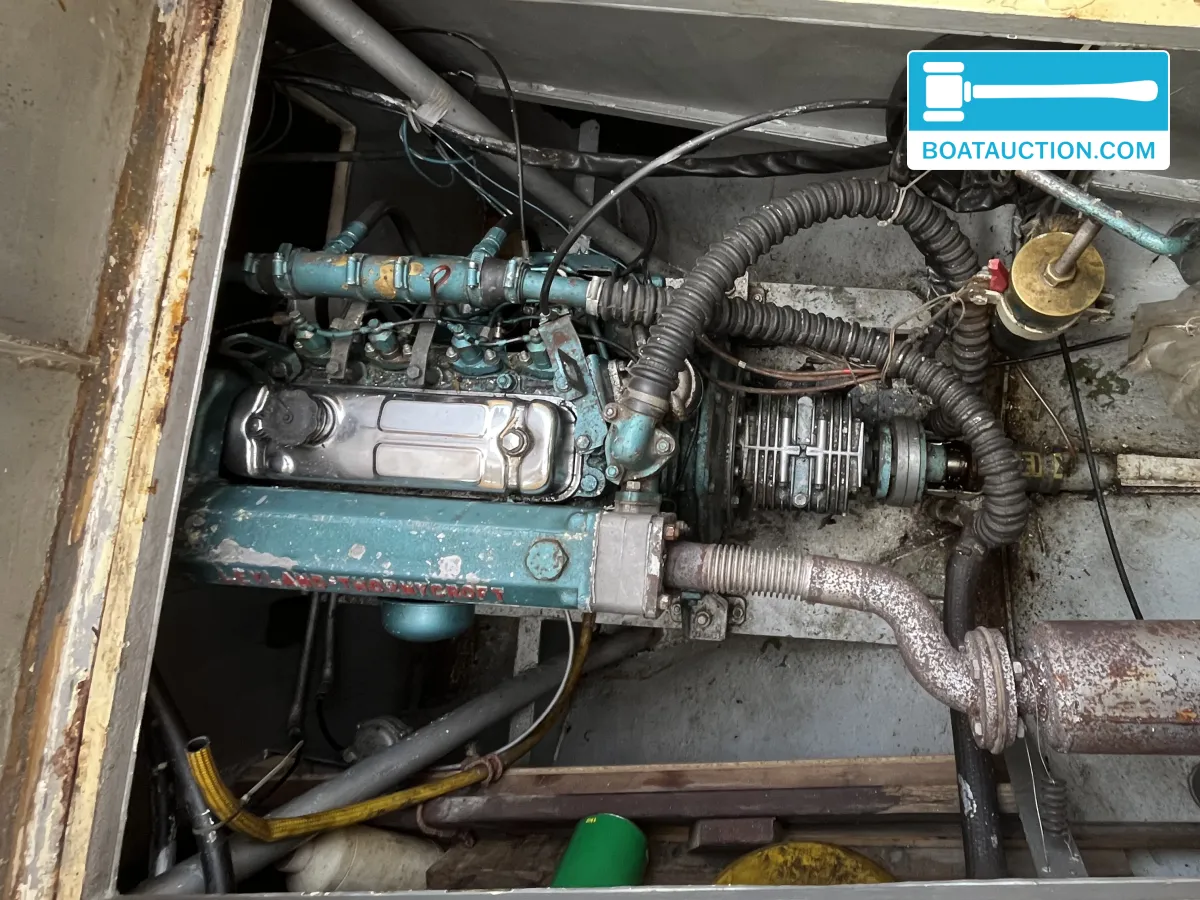 foto: 7 Danish Rose 31