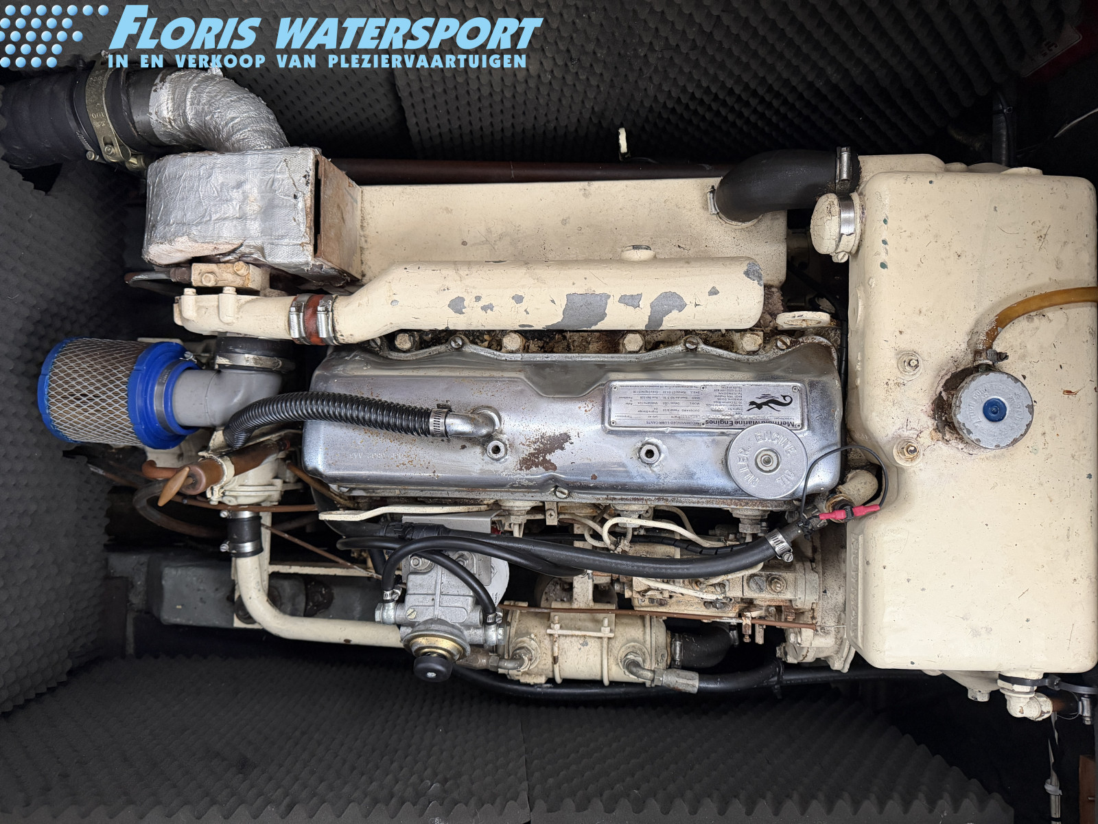 foto: 13 Princess 33