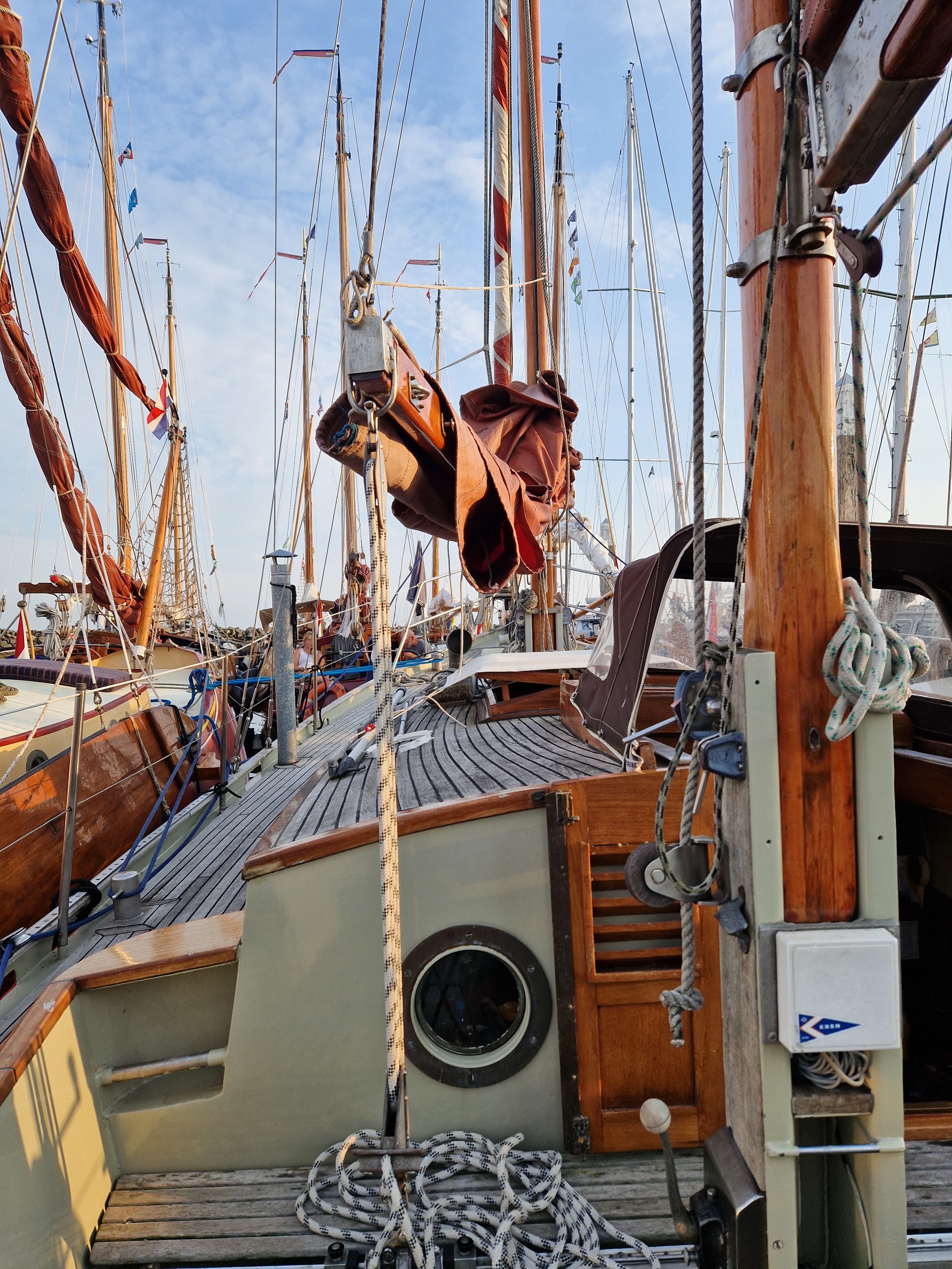 foto: 13 Danish Rose 31