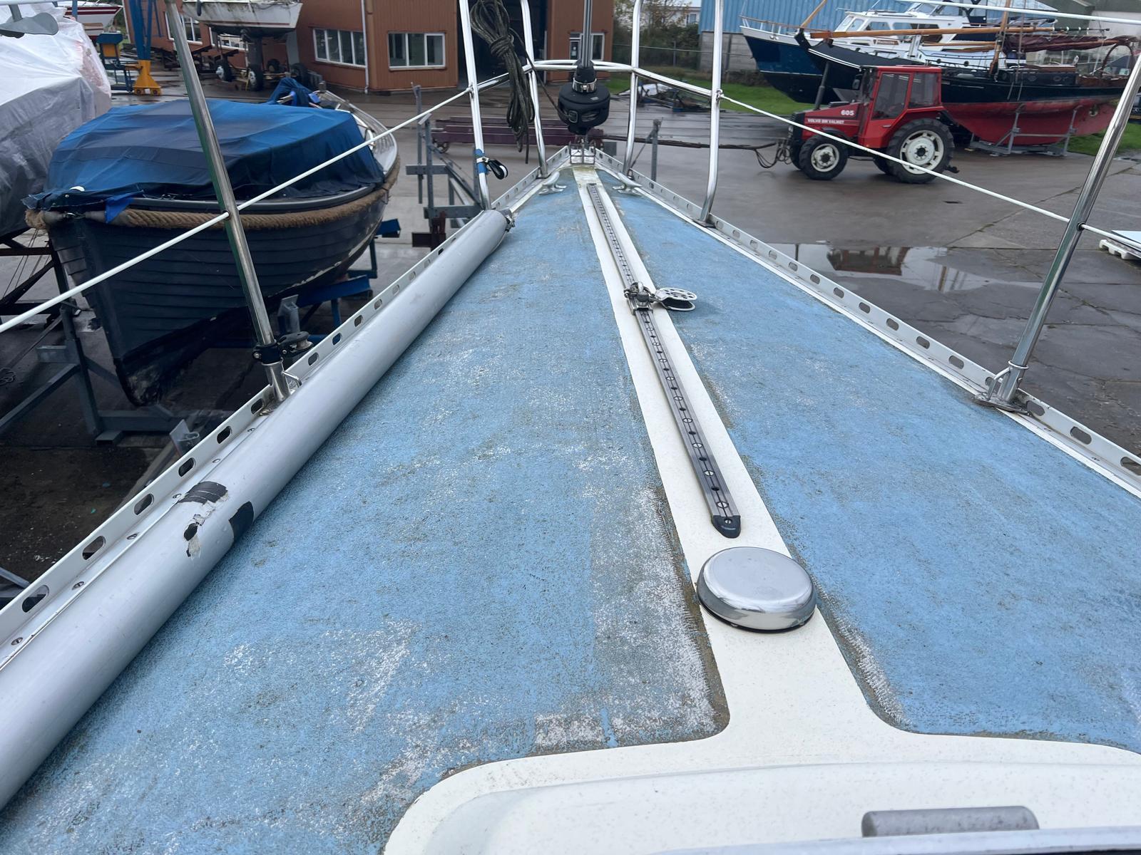 foto: 16 Fly 34 Mosquito 104